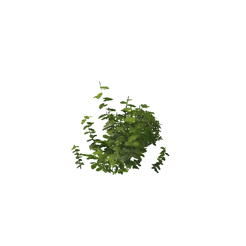 Plant 47_LOD_1